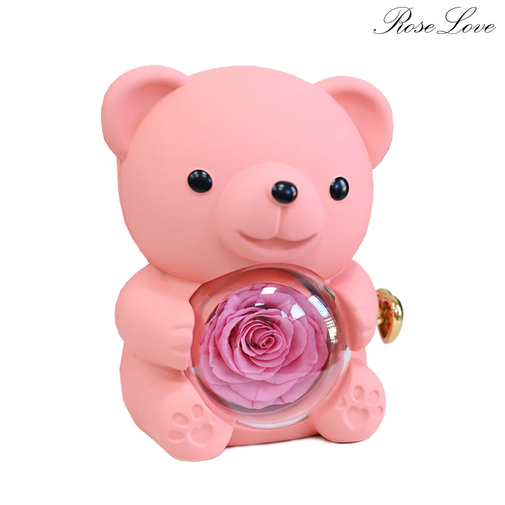 Preserved Real Rose Teddy Bear Jewelry Box