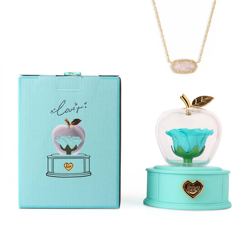 2025 new Christmas apple gift box acrylic eternal rose jewelry box necklace for younger gifts