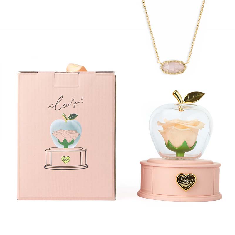 2025 new Christmas apple gift box acrylic eternal rose jewelry box necklace for younger gifts