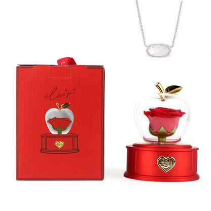 2025 new Christmas apple gift box acrylic eternal rose jewelry box necklace for younger gifts