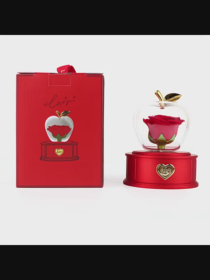 2025 new Christmas apple gift box acrylic eternal rose jewelry box necklace for younger gifts